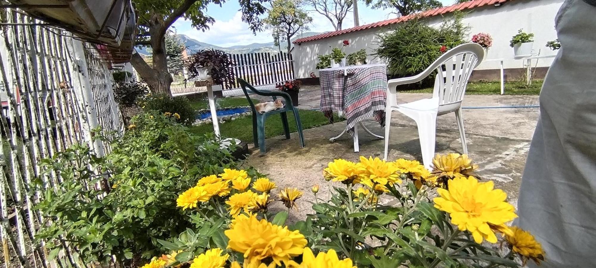 Apartamento Sobe Lara Donji Milanovac Exterior foto
